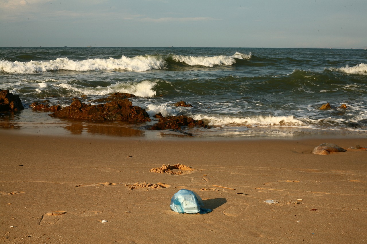 The Role of Recycling in Preserving Natural Resources